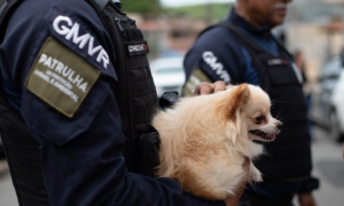 Ação em Volta Redonda interrompe venda ilegal de animais no Siderópolis